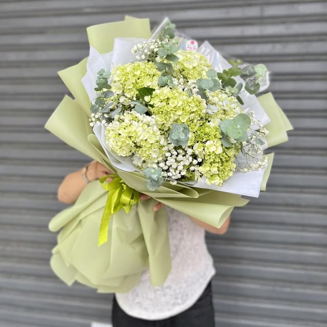 Hoa tú cầu - xin lỗi
