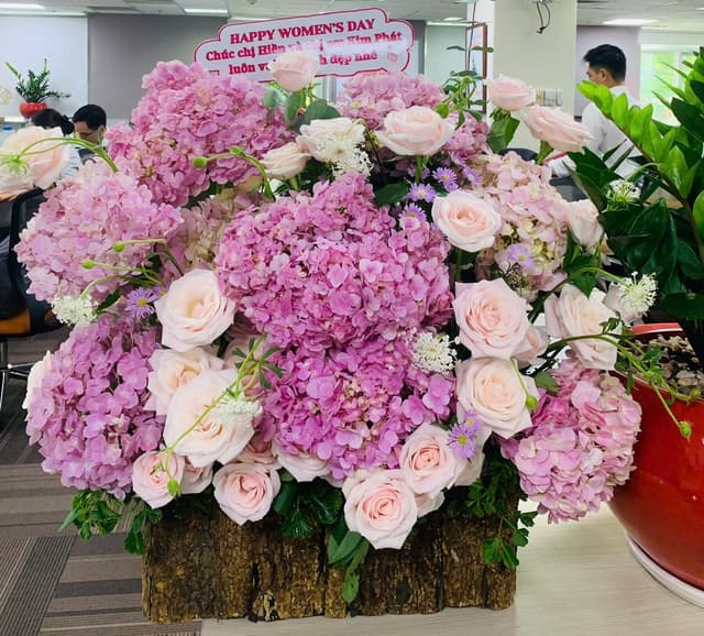 Hoa tú cầu nhập khẩu