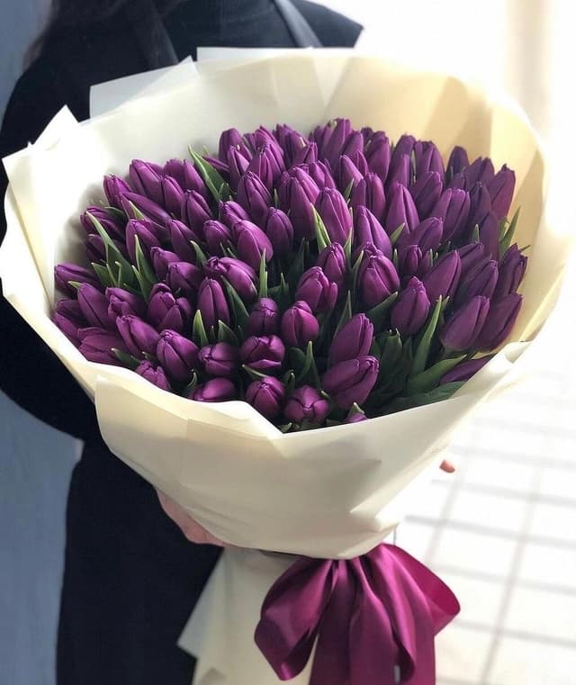 Hoa tulip sang trọng